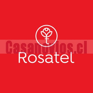 Rosatel chile Anuncios gratis para novios en Ñuñoa |  Hermos ramos de novia en florería rosatel, Ramos para novia, regalar flores en santiago