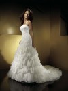 Novias Ensue�o