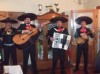 14 de Febrero, el mas romantico de los regalos en el d�a de san Valentin.