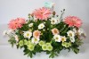floristeria Piuqueyewun en www.casanovios.cl. Aviso Gratis enviado por Jaime Aguallo el 25/2/2010