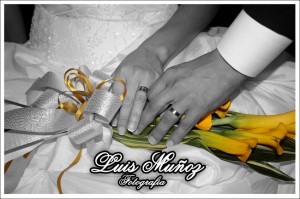LMenlace Anuncios gratis para novios en Talca |  Fotografia Talca, Matrimonios, cenas, eventos en general