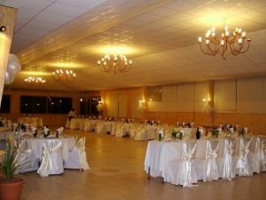 Jose Olivares Ordenes. Novios y novias en Villa Alemana |  Salones, Banquetearía, cumpleaños, matrimonios, Bautizos, licenciaturas., Haz de tu evento un momento inolvidable, C&J producciones . 
