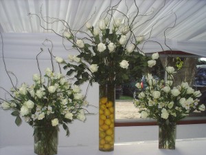 GUACOLDA HUINCAHUE Novios y novias en Maipú |  PRODUCTORA GASTRONOMICA WINKAHUE, EVENTOS 