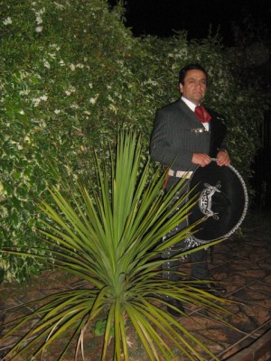 jose gabriel Novios y novias en Santiago |  mariachi  para su boda, mariachi para ese dia tan especial