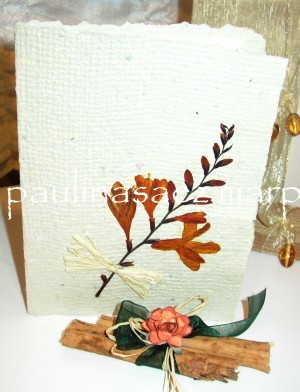 Paulina Saez Alarcon Anuncios gratis para novios en La Serena |  Invitaciones de matrimonio, y otros eventos, partes de matrimonio, participaciones, invitaciones a eventos