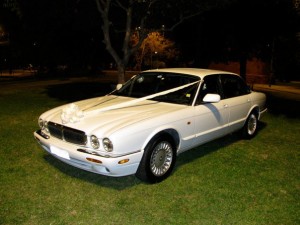 Agust&iacute;n Autos Anuncios gratis para novios en San Miguel |  Autos Cl&aacute;sicos para Matrimonios y Eventos, Jaguar XJ8 Executive