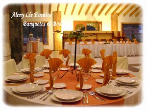 ALENY OLAVE Anuncios gratis para novios en Villa Alemana |  ARRIENDO DE VAJILLA, MANTELER&Iacute;A, EVENTOS EN GENERAL, BANQUETES Y BODAS
