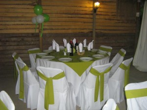 viviana campos Novios y novias en Santiago |  arriendo vajilla, mesas, sillas, banqueteria, locales, arriendos luz de luna