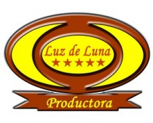 viviana  Novios y novias en Santiago |  arriendo vajilla, mesas, sillas, banqueteria, cubiertos, local o parcelas, arriendo de vajilla luz de luna
