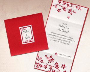 Daniela Postigo Novios y novias en Santiago |  Partes de Matrimonio Modernos, Diseños Exclusivos y novedosos