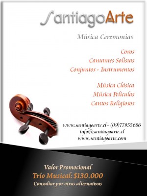 SANTIAGOARTE CANTANTES PROFESIONALES Novios y novias en Santiago |  CANTANTES PROFESIONALES LOS MEJORES A SU DISPOSICION, LOS MEJORES CANTANTES DE SANTIAGO EXPERIENCIA SERIEDAD