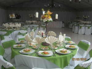 maria teresa Novios y novias en Santiago |  banqueteria maria teresa eventos  9845065, salones y parcela con banqueteria fina