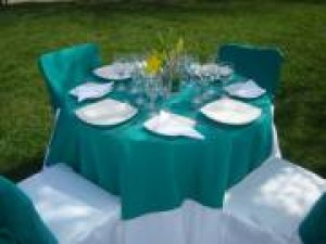 Elizabeth Wirlok Novios y novias en Santiago |  Arriendo de vajilla y manteleria. 9670155 Elizabeth Wirlok, arriendo de sillas, mesones