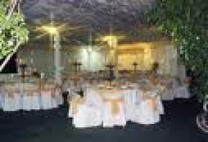 ERIK Novios y novias en Santiago |  Banqueteria Domicilio Ofrecemos a $8.500 Menus Elegantes y Contundentes, NOS CARACTERIZAMOS POR ENTREGAR CALIDAD EN NUESTROS SERVICIOS