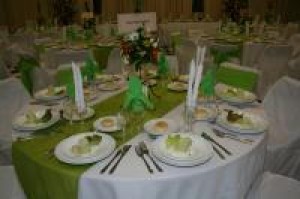 elena Anuncios gratis para novios en Concepci&oacute;n |  SERVICIO DE BANQUETERIA EN CONCEPCION Y ALRREDEDORES PARA EVENTOS EN GRAL., TRONCOSO Y BRAVO BANQUETERIA/Servicio Integral y Profesional