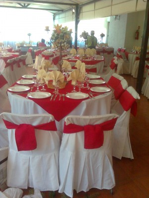 maria teresa Novios y novias en Santiago |  banqueteria maria teresa eventos 9845065, matrimonios, garduaciones, bautizos, aniversarios, cocktail, etc