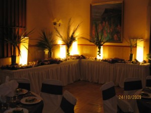 maria teresa Novios y novias en Santiago |  banqueteria maria teresa eventos 9845065, matrimonios, graduaciones, bautizos, cocktail, aniversarios, etc...