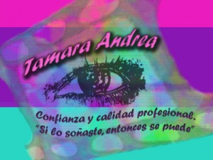 Tamara Andrea E.I.R.L Novios y novias en Santiago |  Party Planner en Chile, Producción de eventos para fiestas