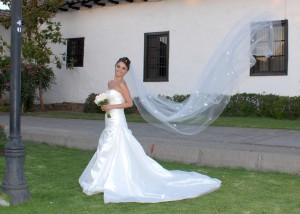 Paula Fern&aacute;ndez Gonz&aacute;lez Anuncios gratis para novios en Las Condes |  Vestido de Novia Pronovias Modelo Hawai Colecci&oacute;n 2010 , INCLUYE: Zapatos, Fald&oacute;n y Velo. PRECIO: $500.000 TALLA: 38  Un uso.