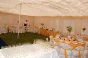 Bee Anuncios gratis para novios en La Serena |  Bee , Banquetes Eventos & Estilos