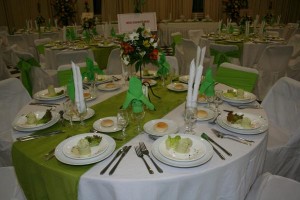 elena Anuncios gratis para novios en Concepci&oacute;n |  BANQUETERIA PARA MATRIMONIOS, EVENTOS EN CONCEPCION Y ALREDEDORES, TRONCOSO Y BRAVO BANQUETERIA/Servicio Integral y Profesional