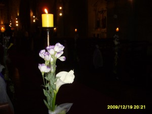 MAURICIO ROJAS Novios y novias en Santiago |  CAMINOS DE LUZ, ARREGLOS FLORALES, RAMOS DE NOVIA DESPACHO A DOMICILIO, PEINADOS Y MAQUILLAJE MAC, NOVIAS, GRADUACIONES, MADRINAS A DOMICILIO
