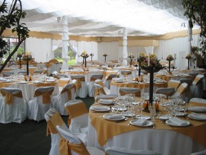 MARIA ROSARIO CUEVAS Novios y novias en Maipú |  ARRIENDO DE VAJILLA EN MAIPU, DE TODO PARA SU EVENTO.  LOS MEJORES PRECIOS