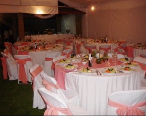karin Anuncios gratis para novios en Puente Alto |  arriendo carpa de 9 x 8 metros, para matrimonios, cumplea&ntilde;os, graduaciones, eventos en general