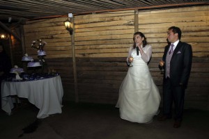 Pilar Novios y novias en La Florida |  Vestido de novia, color Ivory, Strapless, talla 46, Lindo, incluyo el bolero importado