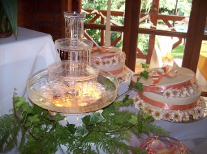 Kelyet Anuncios gratis para novios en Los Angeles |  Tortas con dise&ntilde;o, arriendo de cascada