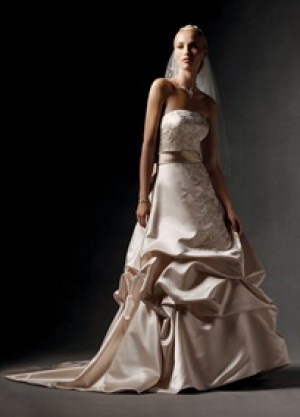 Carolina Novios y novias en Ñuñoa |  Vestido de novia Satin blanco y velo, traido desde EEUU