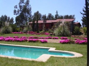 Parcela Casagrande Anuncios gratis para novios en Algarrobo |  Arriendo Parcela para Matrimonios, Linda casona r&uacute;stica con jardines y piscina