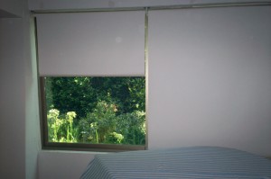 Juan carlos Marilao Anuncios gratis para novios en Huechuraba |  Cortinas Roller, Minipersianas, Cortinas Verticales, Micropersianas y plizadas