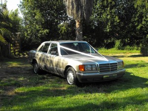 Eduardo San Mart&iacute;n J. Novios y novias en Providencia |  ARRIENDO AUTO MERCEDES BENZ 300SE, Arriendo espectacular Mercedes Benz 300SE para matrimonios y eventos