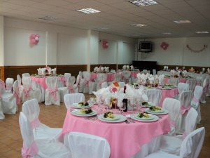 LUIS  Novios y novias en Maipú |  LUSEPE VAJILLA , TODO LOS IMPLEMENTOS PARA SUS BANQUETES