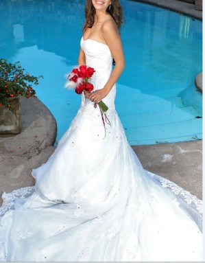 carola g. Anuncios gratis para novios en Las Condes |  vestido de novia toppisimo, vendo vestido las condes 