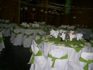 ERIK Novios y novias en Santiago |  BANQUETERIA DOMICILIO OFRECEMOS ELEGANCIA Y CALIDAD A UN PRECIO ACCESIBLE, BRINDAMOS UN SERVICIO COMPLETO DE CALIDAD Y ELEGANTE A UN PRECIO ACCCESIBLE