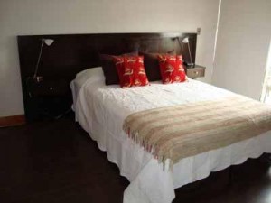 HomeChile Novios y novias en Santiago |  DEPARTAMENTO AMOBLADO EN SANTIAGO, ARRIENDOS EN LAS CONDES, PROVIDENCIA, SANTIAGO CENTRO