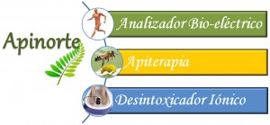 jacqueline zu&ntilde;iga Anuncios gratis para novios en Iquique |  Apiterapia en Iquique, Uso del veneno de Abejas para tratar curar y prevenir enfermedades