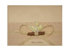 Katherine Bravo Anuncios gratis para novios en Quilicura |  partes de matrimonio, http://www.artenovios.cl