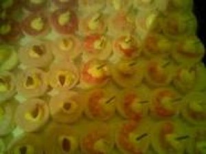 maria Novios y novias en Santiago |  canape empanaditas pastelitos eventos garzones domicilio 086612223, tapaditos mini pizzas todo para su fiesta calidad variedad