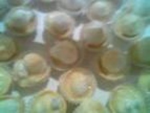  Novios y novias en Santiago |  canape empanaditas pastelitos domicilio brochetas 086612223, tapaditos mini pizzas alitas de pollo todo pàra su fiesta calidad variedad
