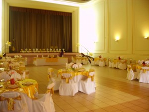 SANTIAGO PRODUCCIONES Novios y novias en Santiago |  FIESTAS DE MATRIMONIOS , EN ÑUÑOA SANTIAGO Y OTRAS COMUNAS