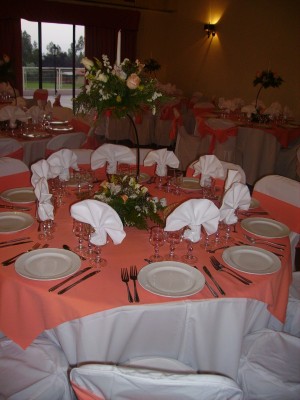 BANQUETES Novios y novias en Santiago |  EVENTOS Y BANQUETERIA PARA MATRIMONIOS, SERVICIO CON LOCAL INCLUIDO