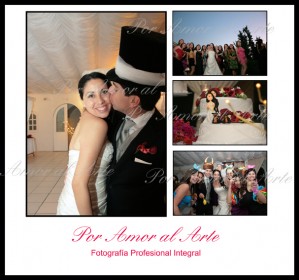Por Amor al Arte  Novios y novias en Santiago |  FOTOGRAFÍA PROFESIONAL , FOTOGRAFÍA PROFESIONAL BODAS, NOVIOS.