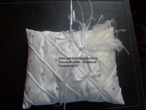 Carolina Novios y novias en Santiago |  Cojines para argollas y souvenir exclusivos, recuerditos exclusivos para matrimonio