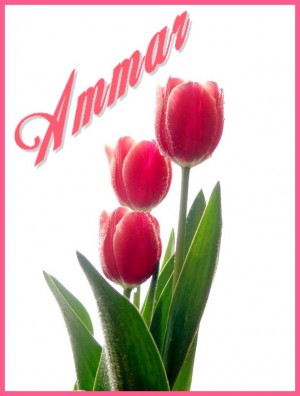 Michelle Anich Anuncios gratis para novios en Quilpu&eacute; |  Ammar, arriendos..., vestidos de novia, fiesta, accesorios, vajilla, producci&oacute;n total de eventos