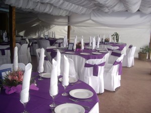 LOCALES Y PARCELAS Novios y novias en Santiago |  FIESTA DE MATRIMONIO CON LOCAL, TODAS LAS COMUNAS