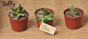 SOFFY Novios y novias en Santiago |  Recuerdos para Matrimonio recuerdos Baby shower, recuerdos bautizos, El recuerdo inolvidable para tus invitados