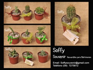 Soffy Novios y novias en Santiago |  SOUVENIR O RECUERDOS PARA BODAS, El recuerdo Inolvidable para tu boda